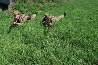 Военно-историческая реконструкция