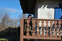 Военно-полевой сбор «Полигон»