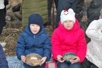 Военно-полевой сбор «Полигон»