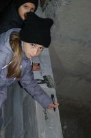 Тестирование тренажеров