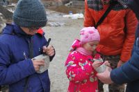 Тестирование тренажеров