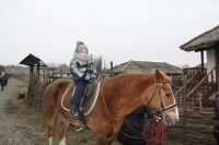 Рождественские колядки Рождественские колядки