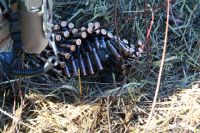 Военно-полевой сбор «Полигон» Военно-полевой сбор «Полигон»