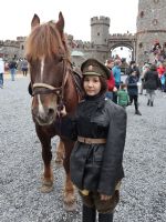 Реконструкция, посвященная гражданской войне