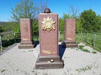 Поисковая «Вахта памяти»