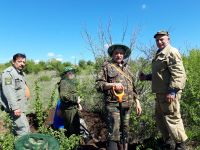 Поисковая «Вахта памяти»