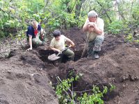 Поисковая «Вахта памяти»