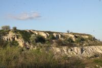 Поисковая «Вахта памяти»