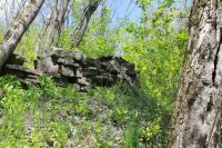 Поисковая «Вахта памяти»