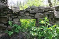 Поисковая «Вахта памяти»