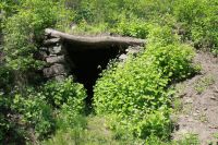 Поисковая «Вахта памяти»