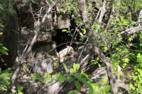 Поисковая «Вахта памяти»