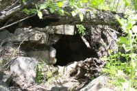 Поисковая «Вахта памяти»