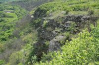 Поисковая «Вахта памяти»