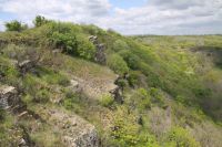 Поисковая «Вахта памяти»