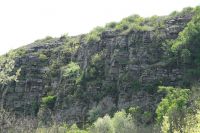 Поисковая «Вахта памяти»