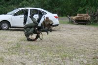 Военно-полевой сбор «Полигон»