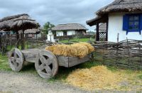 Военно-полевой сбор «Полигон»