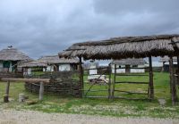 Военно-полевой сбор «Полигон»