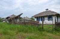 Военно-полевой сбор «Полигон»