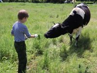 Поездка в рамках реализации проекта «География патриотического краеведения» Поездка в рамках реализации проекта «География патриотического краеведения»