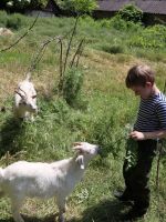 Поездка в рамках реализации проекта «География патриотического краеведения» Поездка в рамках реализации проекта «География патриотического краеведения»