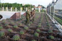 Встреча с Николаем Цыганковым