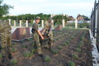 Встреча с Николаем Цыганковым