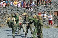 Военно-историческая реконструкция