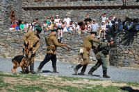 Военно-историческая реконструкция