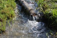 Проект «География патриотического краеведения»