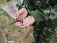 Поездка по местам боевой славы