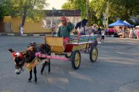 Военно-исторический фестиваль в городе Азове