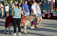 Военно-исторический фестиваль в городе Азове