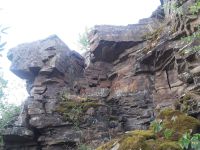 Поисковая экспедиция «Казачья слава Дона» Поисковая экспедиция «Казачья слава Дона»