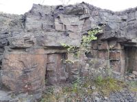 Поисковая экспедиция «Казачья слава Дона» Поисковая экспедиция «Казачья слава Дона»