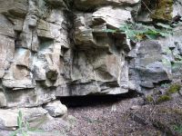 Поисковая экспедиция «Казачья слава Дона» Поисковая экспедиция «Казачья слава Дона»