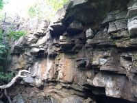 Поисковая экспедиция «Казачья слава Дона» Поисковая экспедиция «Казачья слава Дона»