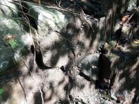 Поисковая экспедиция «Казачья слава Дона» Поисковая экспедиция «Казачья слава Дона»