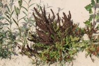 Поездка к природной достопримечательности