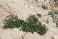 Поездка к природной достопримечательности