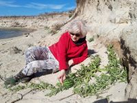 Поездка к природной достопримечательности