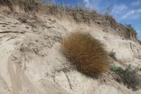 Поездка к природной достопримечательности