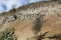 Поездка к природной достопримечательности