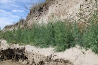 Поездка к природной достопримечательности