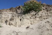 Поездка к природной достопримечательности