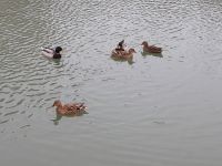 Занятия по начальной военной подготовке