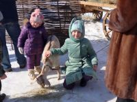 Военно-историческая реконструкция