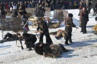 Военно-историческая реконструкция