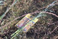 Поездка по маршруту «Тропа боевой славы»